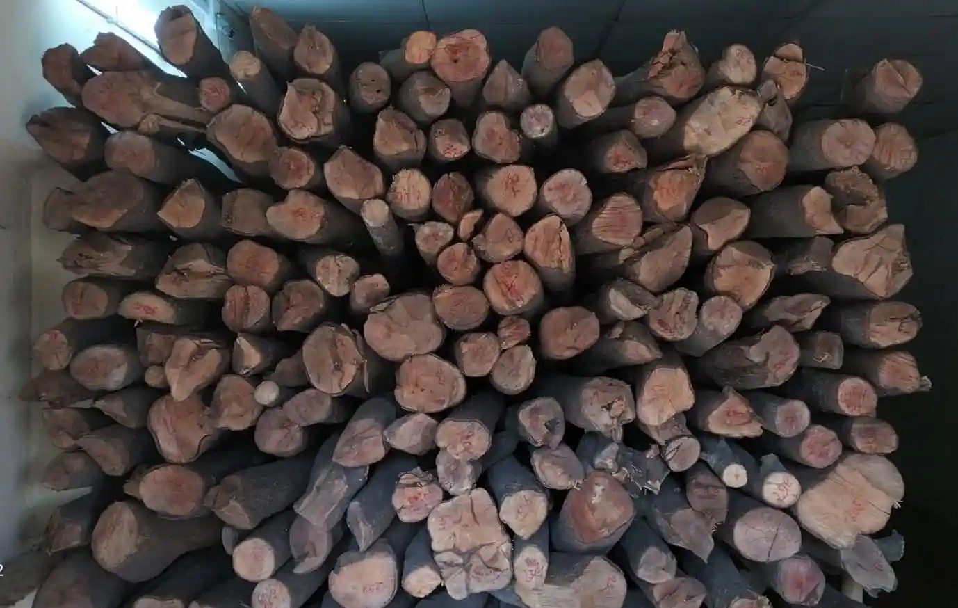 Sandalwood